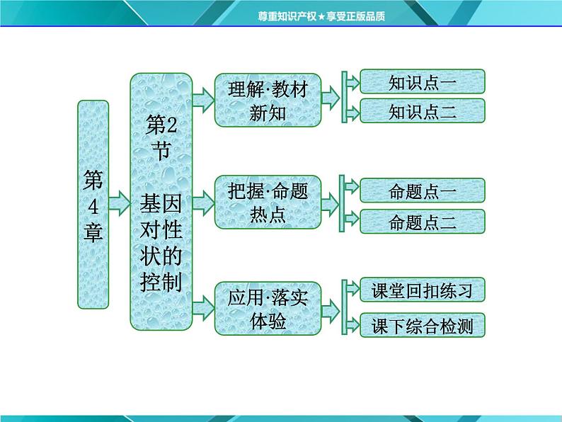 人教版必修2课件 第4章 第2节 基因对性状的控制01