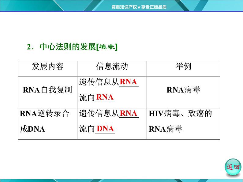 人教版必修2课件 第4章 第2节 基因对性状的控制05