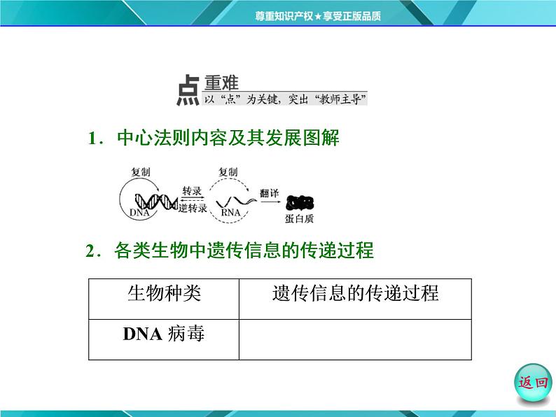 人教版必修2课件 第4章 第2节 基因对性状的控制07