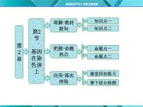 高中第2节 基因在染色体上课堂教学ppt课件