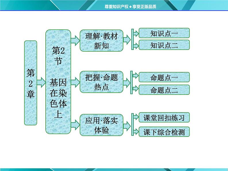 人教版必修2课件 第2章 第2节 基因在染色体上01