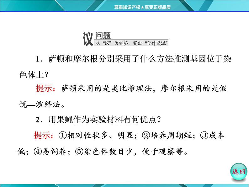 人教版必修2课件 第2章 第2节 基因在染色体上08