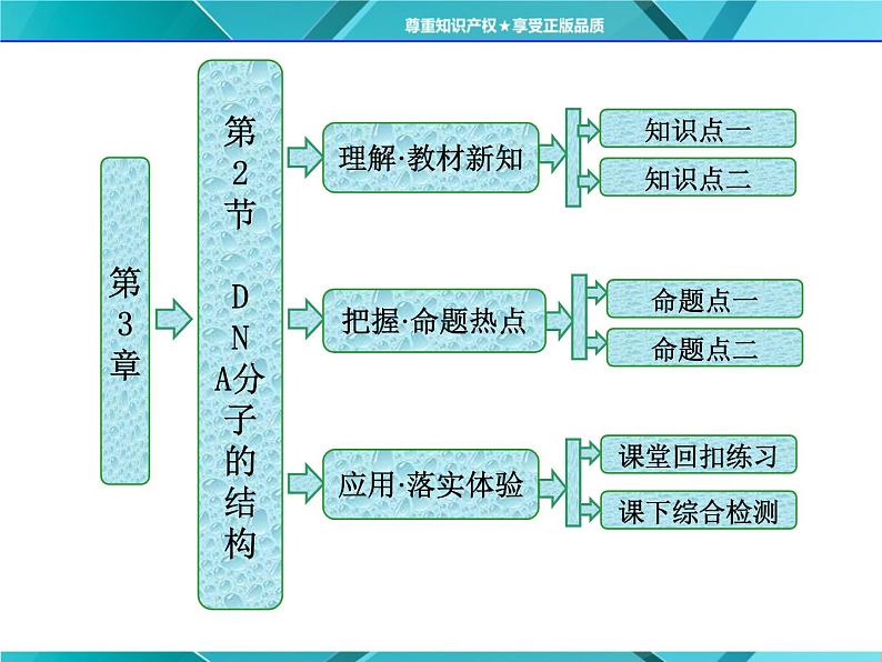 人教版必修2课件 第3章 第2节 DNA分子的结构01