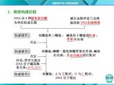 人教版必修2课件 第3章 第2节 DNA分子的结构