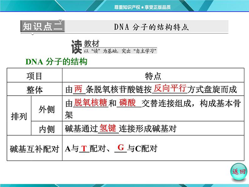 人教版必修2课件 第3章 第2节 DNA分子的结构06