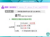 人教版必修2课件 第7章 第2节 现代生物进化理论的主要内容