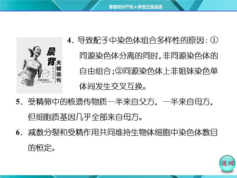 人教版必修2课件 第2章 第1节 第2课时 卵细胞的形成过程和受精作用03