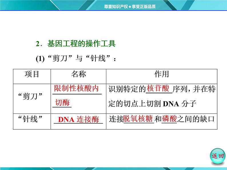 人教版必修2课件 第6章 第2节 基因工程及其应用04