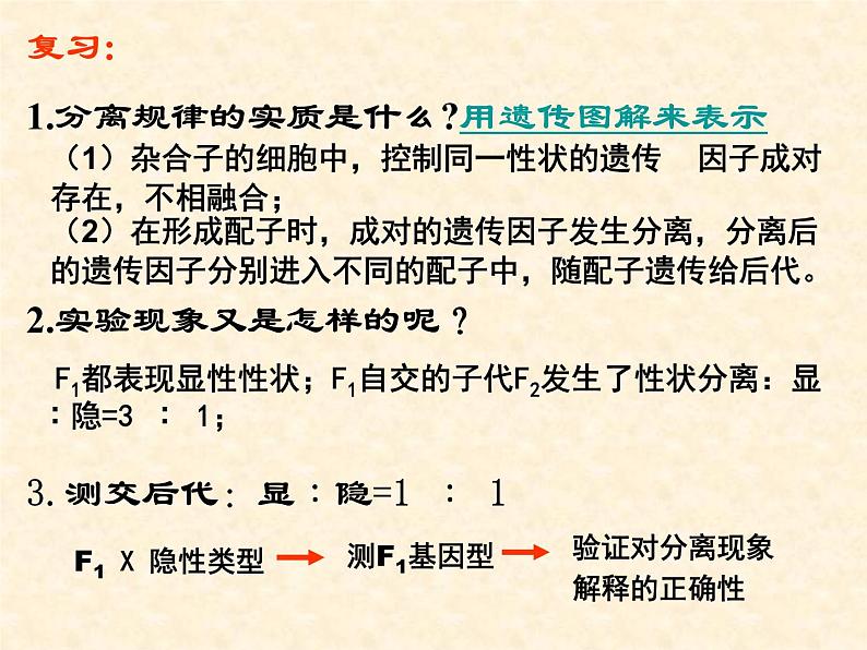 高中人教版生物必修2教学课件：1.2 孟德尔的豌豆杂交实验（二）202