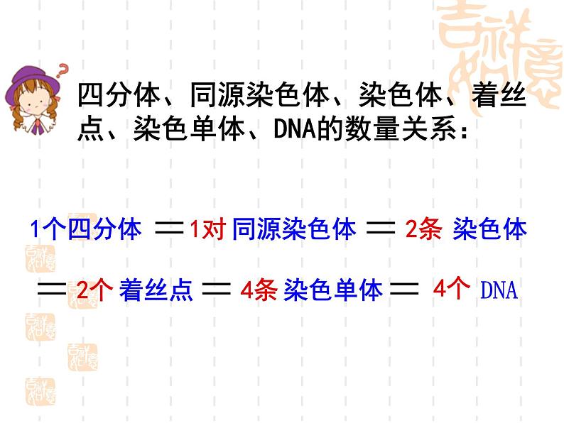 高中人教版生物必修2教学课件：2.1 减数分裂和受精作用206