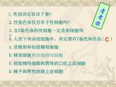 高中人教版生物必修2教学课件：2.3 伴性遗传2 Word版含答案