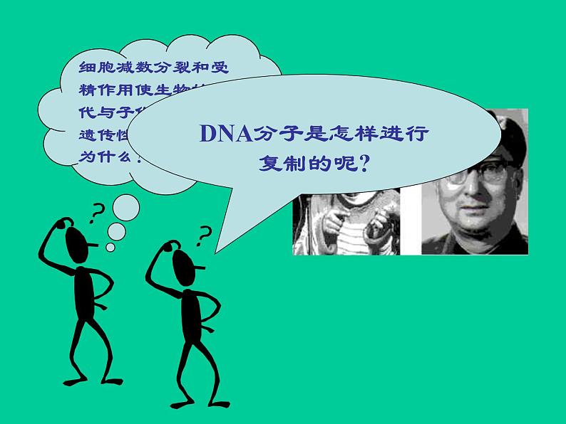 高中人教版生物必修2教学课件：3.3 DNA的复制1 Word版含答案02