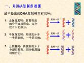 高中人教版生物必修2教学课件：3.3 DNA的复制1 Word版含答案
