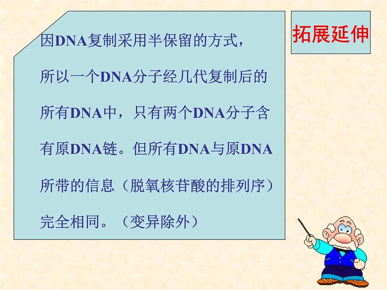 高中人教版生物必修2教学课件：3.3 DNA的复制1 Word版含答案06