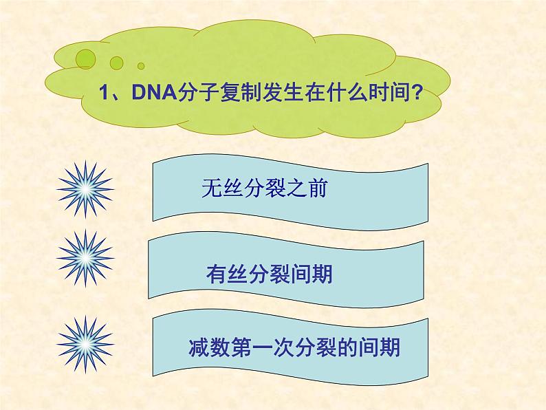 高中人教版生物必修2教学课件：3.3 DNA的复制1 Word版含答案08