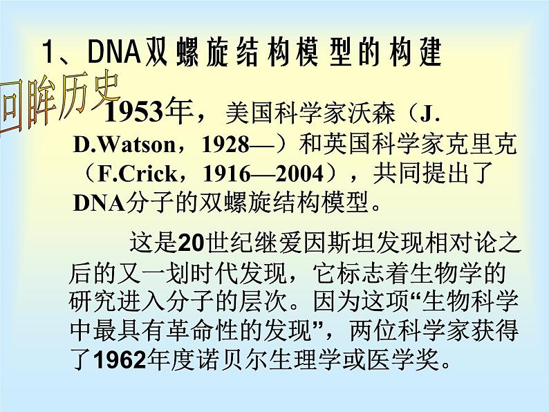 高中人教版生物必修2教学课件：3.2 DNA分子的结构2 Word版含答案02