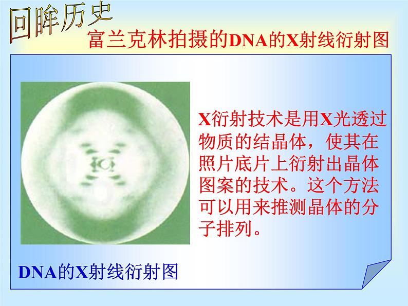 高中人教版生物必修2教学课件：3.2 DNA分子的结构2 Word版含答案05