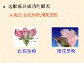 高中人教版生物必修2教学课件：1.1 孟德尔的豌豆杂交实验（一）2