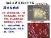 高中人教版生物必修2教学课件：3.1 DNA是主要的遗传物质2 Word版含答案