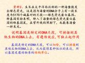 高中人教版生物必修2教学课件：3.4 基因是有遗传效应的DNA片段1 Word版含答案