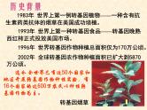高中人教版生物必修2教学课件：3.4 基因是有遗传效应的DNA片段1 Word版含答案