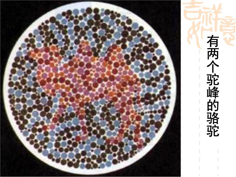 高中人教版生物必修2教学课件：2.3 伴性遗传1 Word版含答案第2页