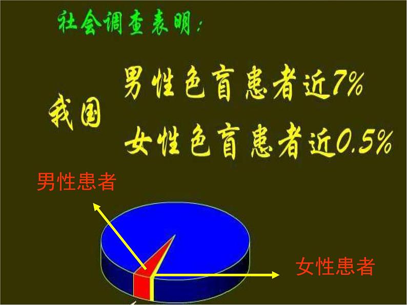 高中人教版生物必修2教学课件：2.3 伴性遗传1 Word版含答案第8页