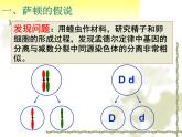 高中人教版生物必修2教学课件：2.2 基因在染色体上2 Word版含答案