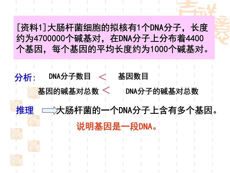 高中人教版生物必修2教学课件：3.4 基因是有遗传效应的DNA片段2 Word版含答案05