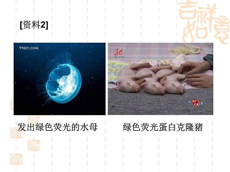 高中人教版生物必修2教学课件：3.4 基因是有遗传效应的DNA片段2 Word版含答案07