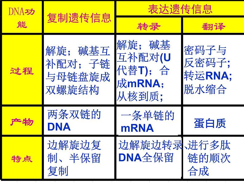 高中人教版生物必修2教学课件：4.2 基因对性状的控制1 Word版含答案02