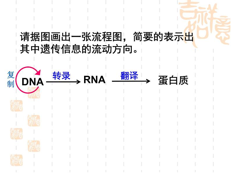 高中人教版生物必修2教学课件：4.2 基因对性状的控制1 Word版含答案03