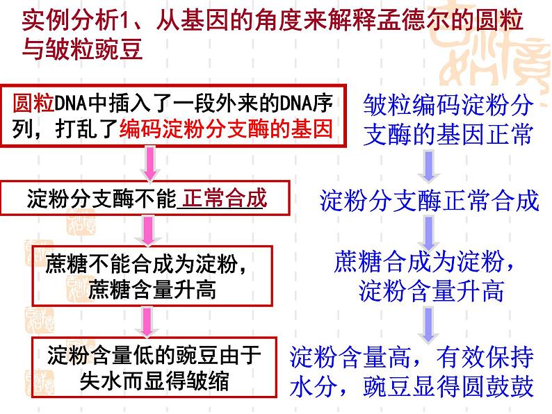 高中人教版生物必修2教学课件：4.2 基因对性状的控制1 Word版含答案07