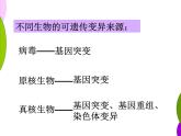 高中人教版生物必修2教学课件：5.1 基因突变和基因重组2 Word版含答案