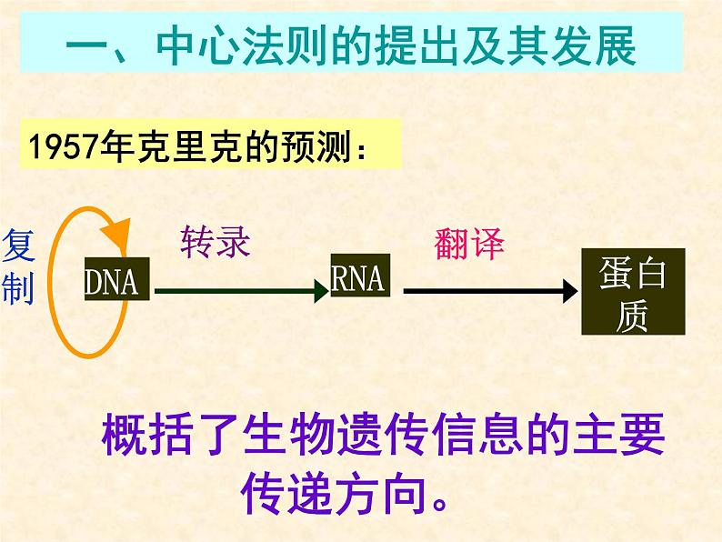 高中人教版生物必修2教学课件：4.2 基因对性状的控制2 Word版含答案03