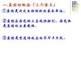 高中人教版生物必修2教学课件：4.1 基因指导蛋白质的合成2 Word版含答案