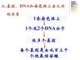 高中人教版生物必修2教学课件：4.1 基因指导蛋白质的合成2 Word版含答案