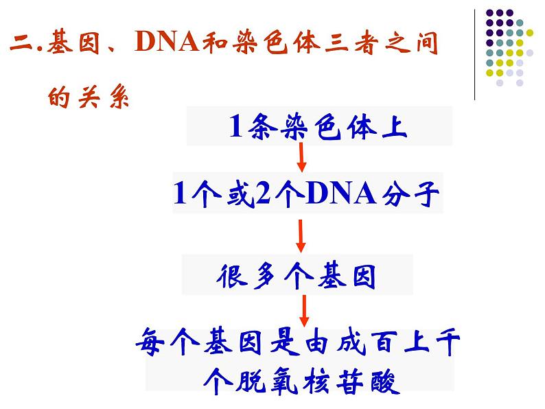 高中人教版生物必修2教学课件：4.1 基因指导蛋白质的合成2 Word版含答案第3页