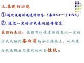 高中人教版生物必修2教学课件：4.1 基因指导蛋白质的合成2 Word版含答案