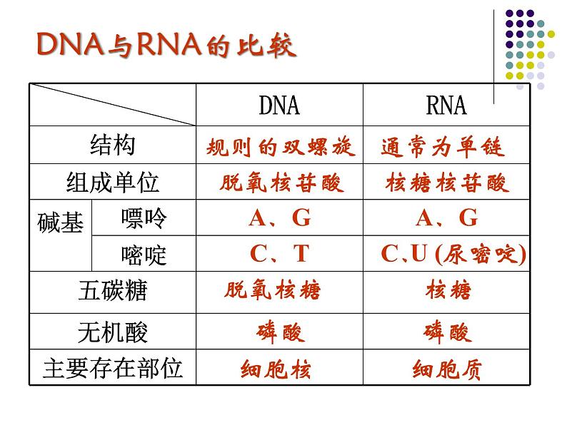 高中人教版生物必修2教学课件：4.1 基因指导蛋白质的合成2 Word版含答案第6页