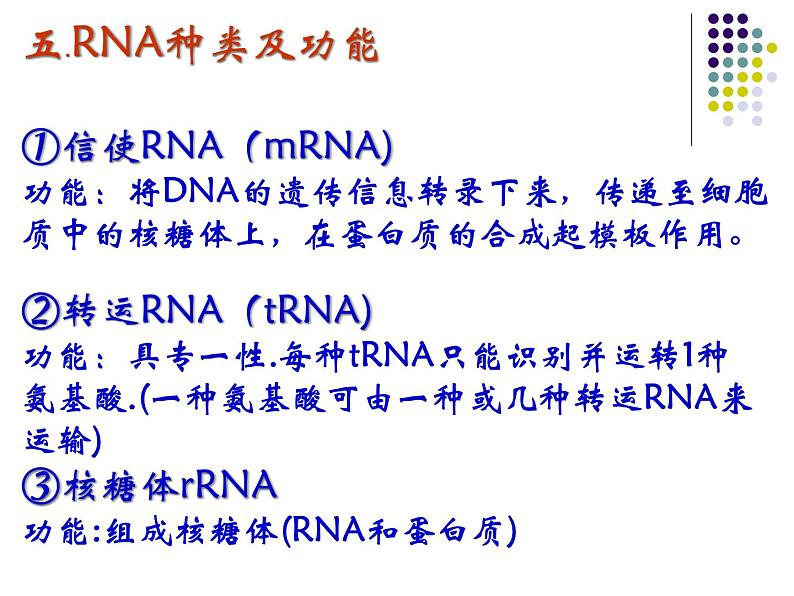 高中人教版生物必修2教学课件：4.1 基因指导蛋白质的合成2 Word版含答案第8页