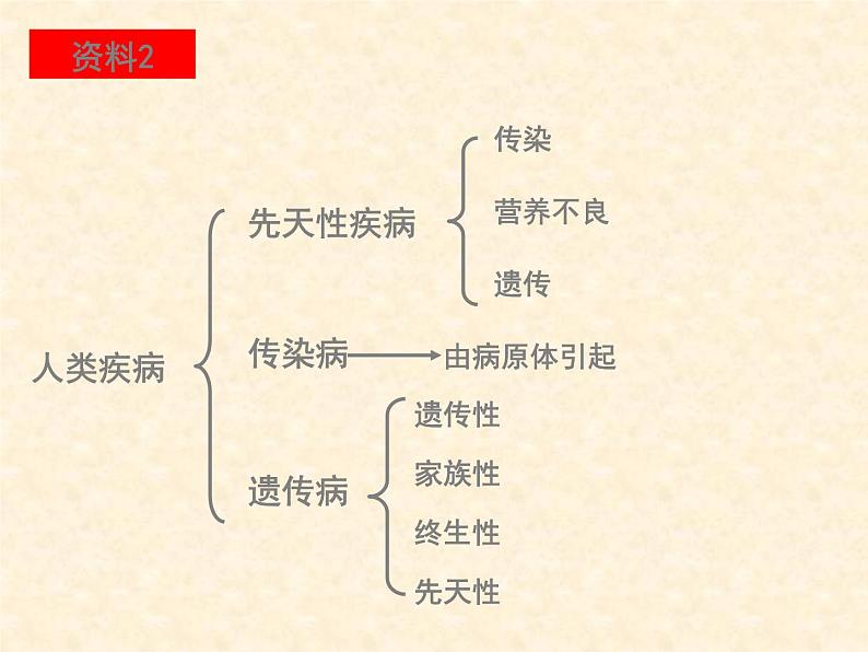 高中人教版生物必修2教学课件：5.3 人类遗传病2 Word版含答案03