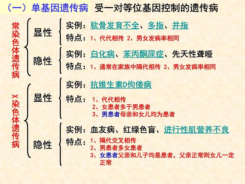 高中人教版生物必修2教学课件：5.3 人类遗传病2 Word版含答案05