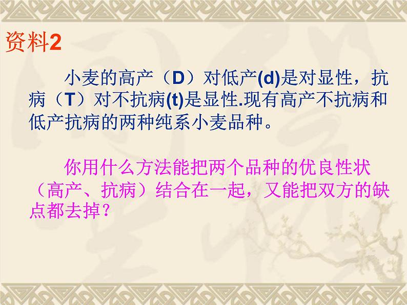 高中人教版生物必修2教学课件：6.1 杂交育种与诱变育种1 Word版含答案03