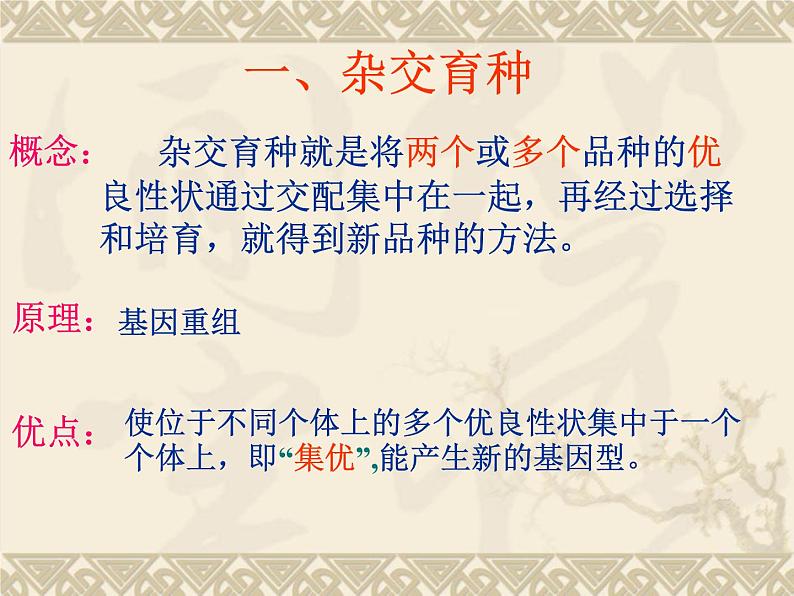 高中人教版生物必修2教学课件：6.1 杂交育种与诱变育种1 Word版含答案06