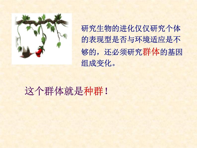 高中人教版生物必修2教学课件：7.2 现代生物进化理论的主要内容2 Word版含答案03