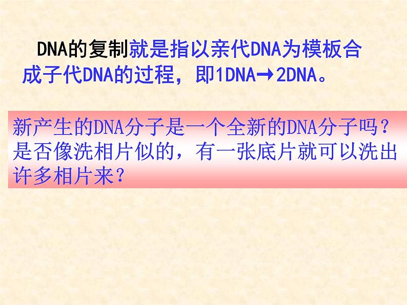 高中人教版生物必修2教学课件：3.3 DNA的复制2 Word版含答案04