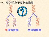 高中人教版生物必修2教学课件：3.3 DNA的复制2 Word版含答案
