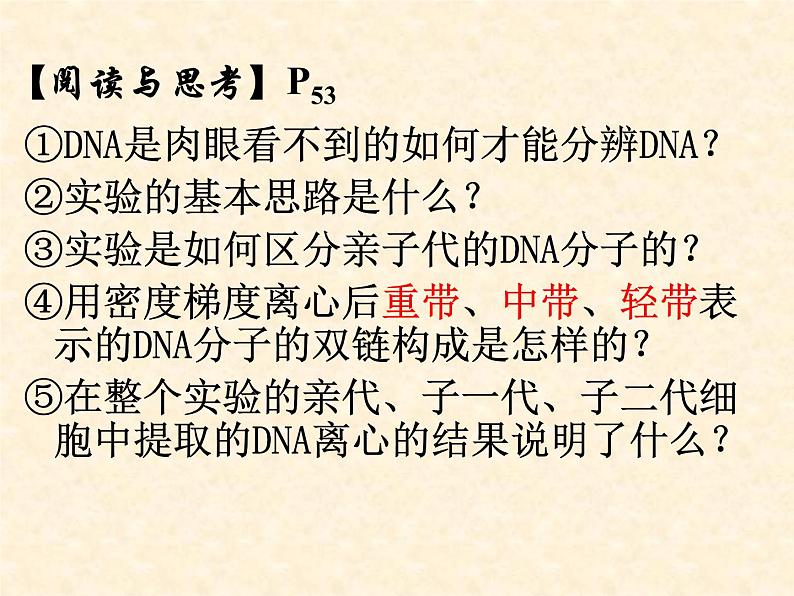 高中人教版生物必修2教学课件：3.3 DNA的复制2 Word版含答案06