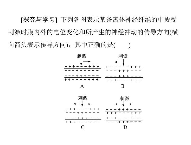 新人教版生物必修三：2.1《通过神经系统的调节》ppt课件（59页）07